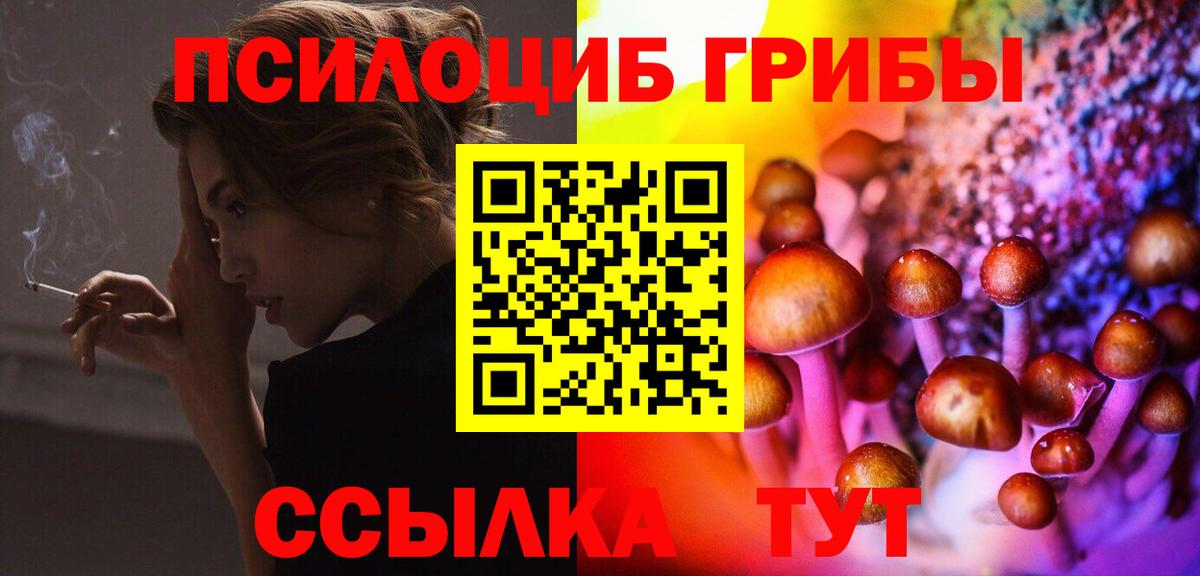 Галлюциногенные грибы Psilocybe Соликамск